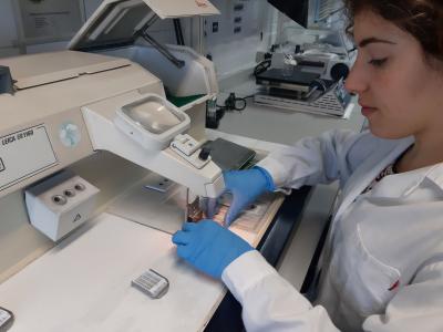 Dr Marta Caballero au laboratoire © M. Caballero Huertas, Cirad
